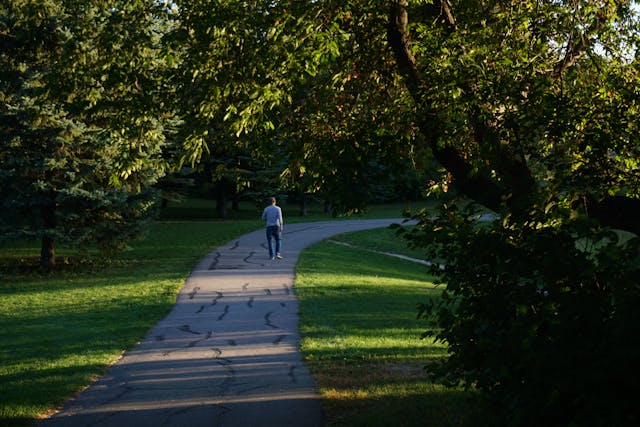 person walking nature trail